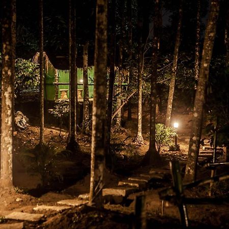Wooden Cottages Glen WayanadMeppādi エクステリア 写真