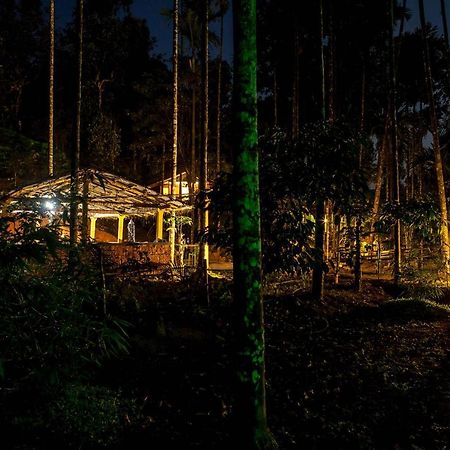 Wooden Cottages Glen WayanadMeppādi エクステリア 写真