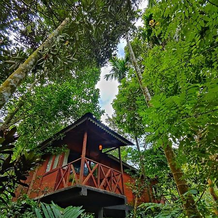 Wooden Cottages Glen WayanadMeppādi エクステリア 写真