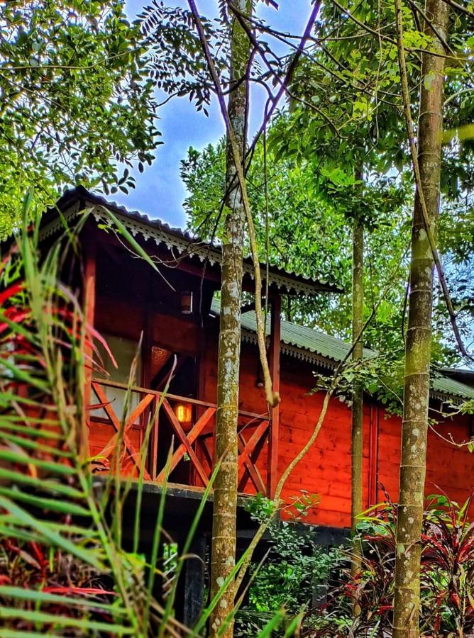Wooden Cottages Glen WayanadMeppādi エクステリア 写真