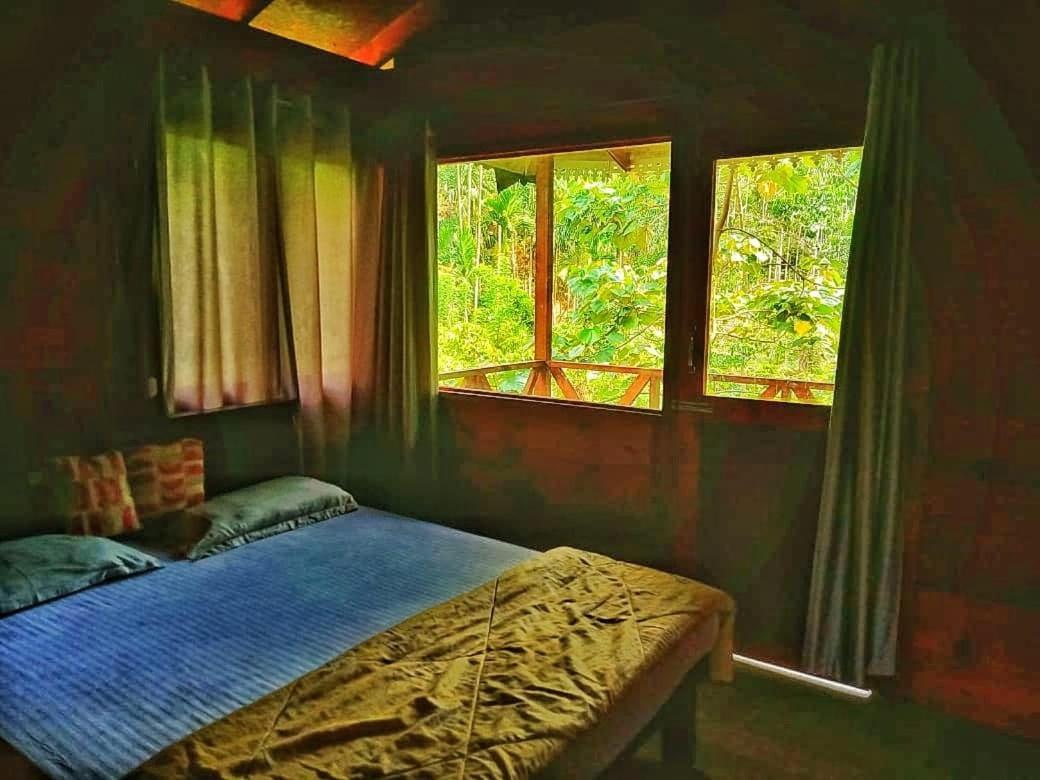 Wooden Cottages Glen WayanadMeppādi エクステリア 写真