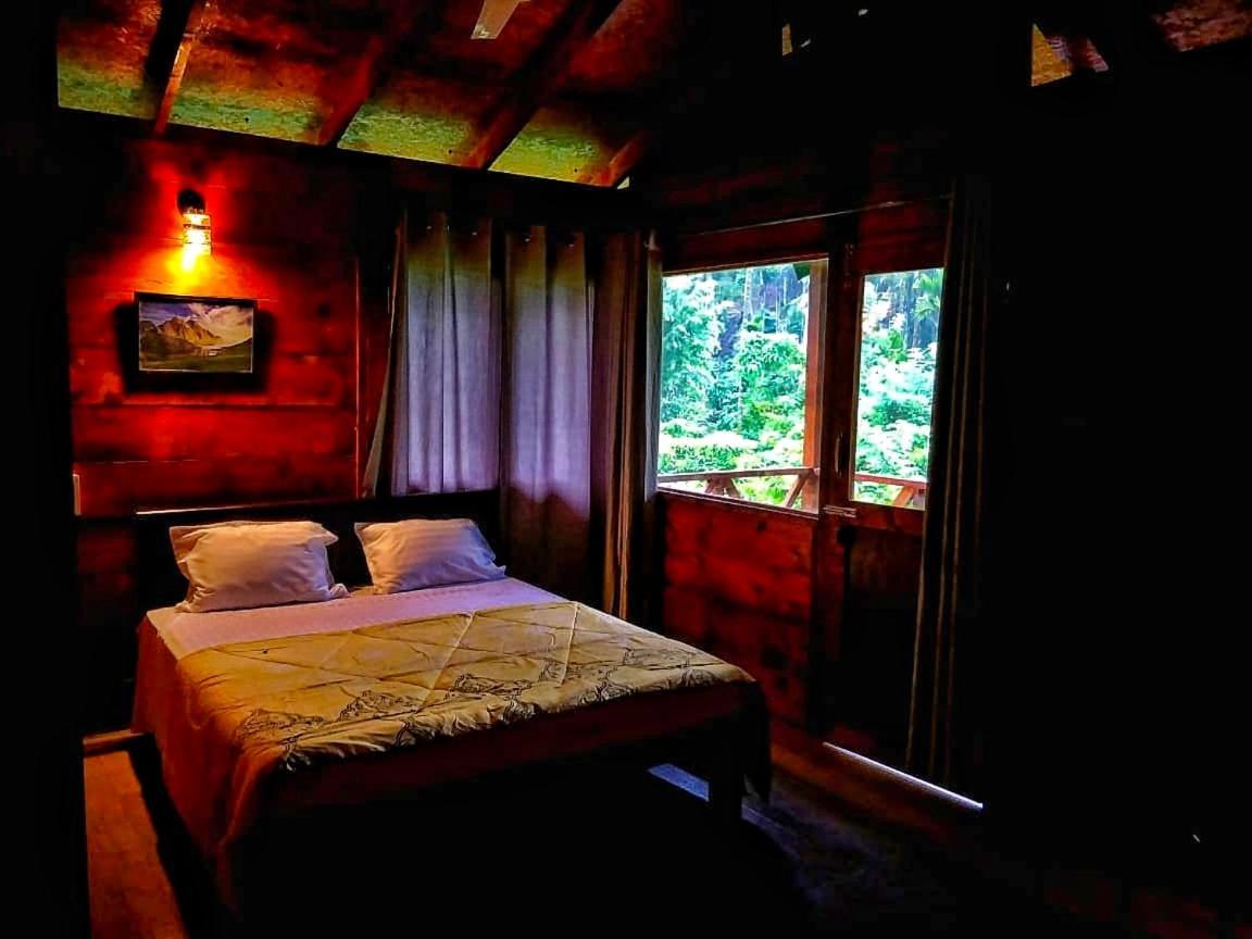 Wooden Cottages Glen WayanadMeppādi エクステリア 写真