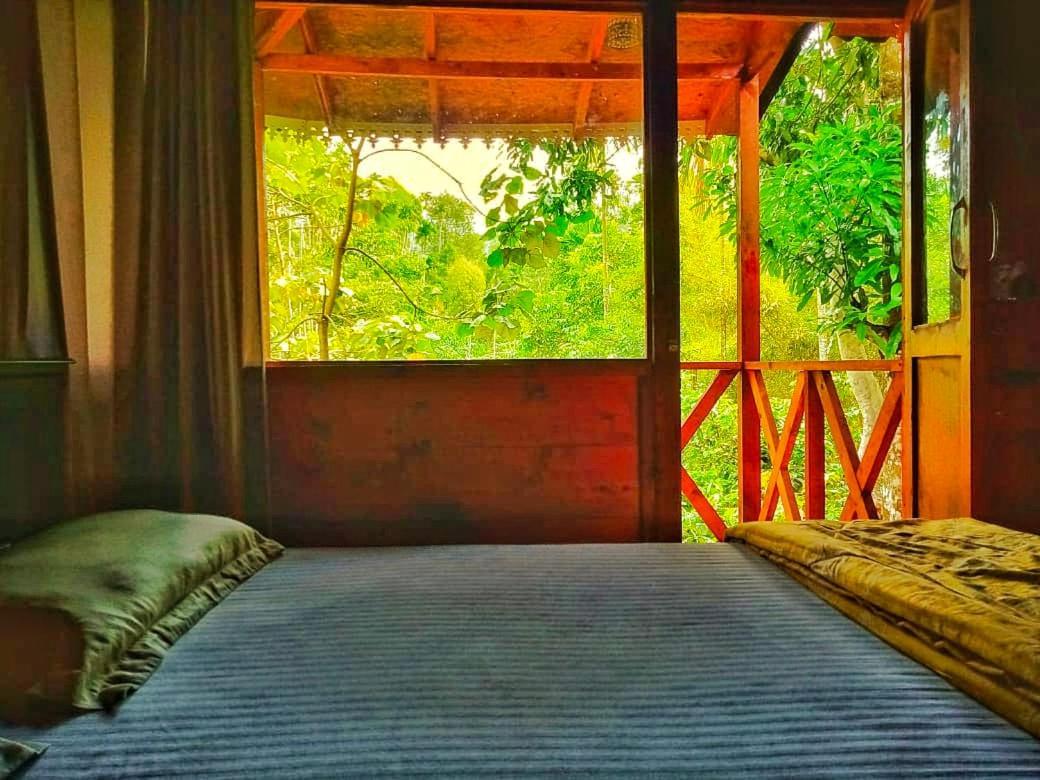 Wooden Cottages Glen WayanadMeppādi エクステリア 写真