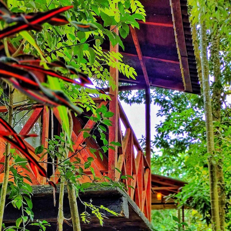 Wooden Cottages Glen WayanadMeppādi エクステリア 写真