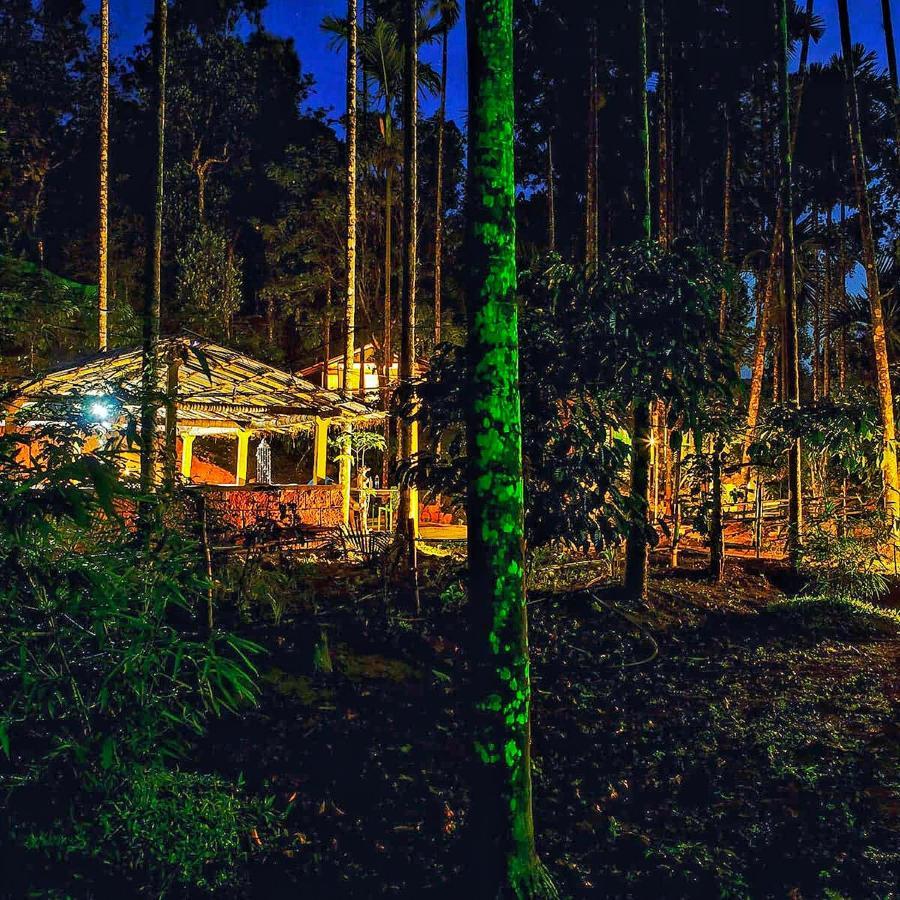 Wooden Cottages Glen WayanadMeppādi エクステリア 写真