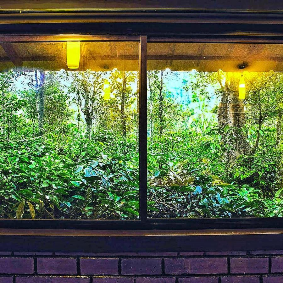 Wooden Cottages Glen WayanadMeppādi エクステリア 写真