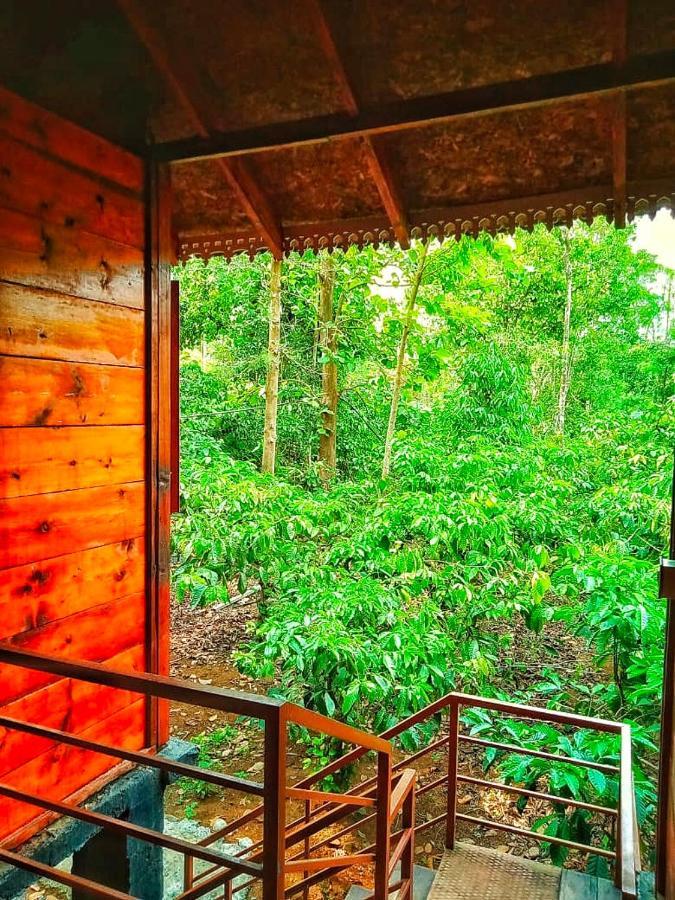 Wooden Cottages Glen WayanadMeppādi エクステリア 写真