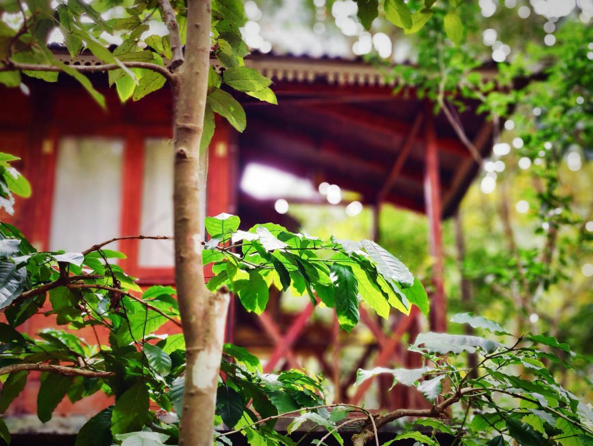 Wooden Cottages Glen WayanadMeppādi エクステリア 写真