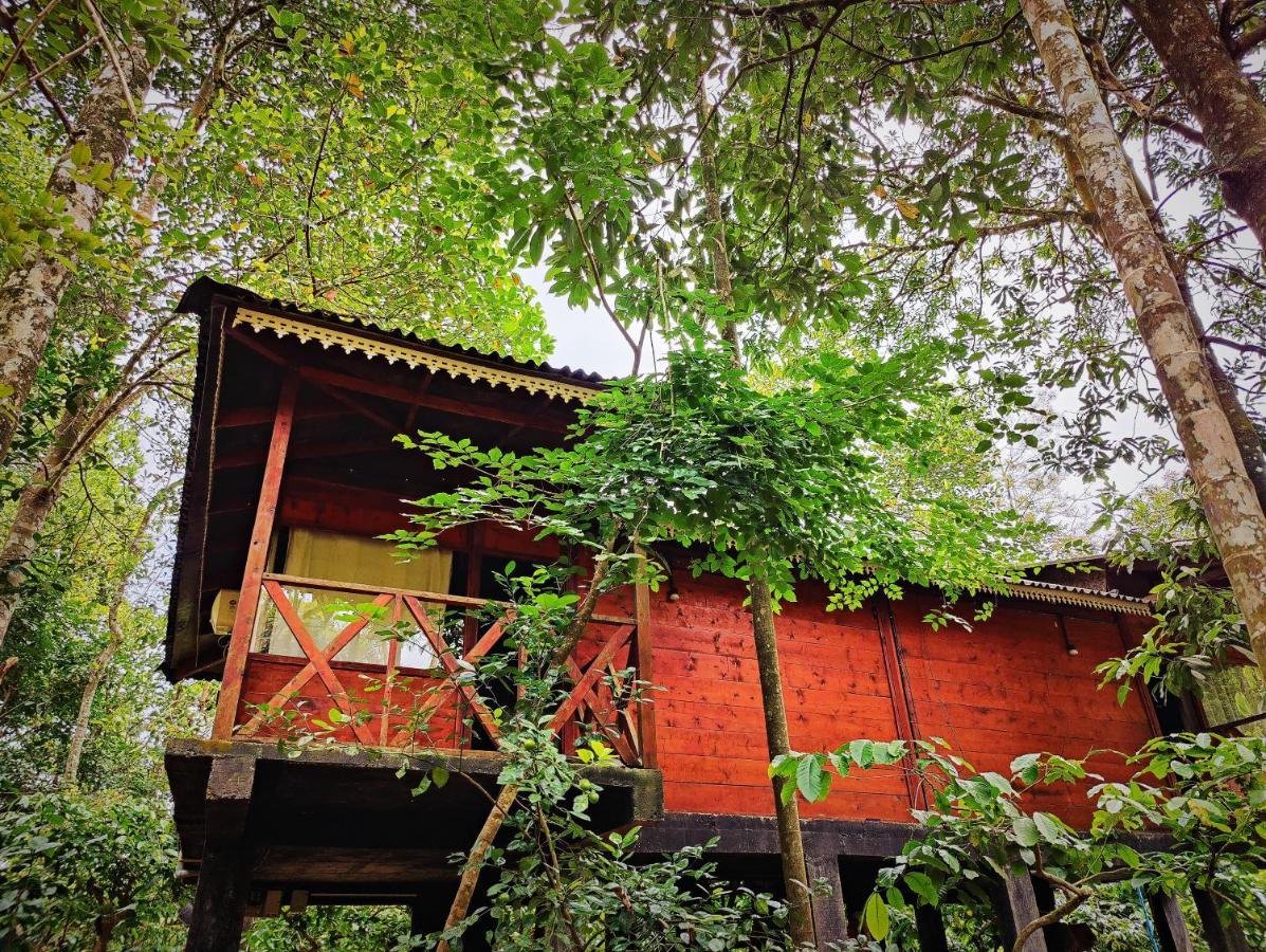 Wooden Cottages Glen WayanadMeppādi エクステリア 写真