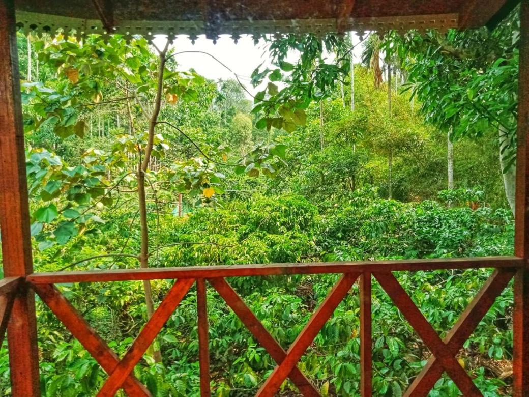 Wooden Cottages Glen WayanadMeppādi エクステリア 写真