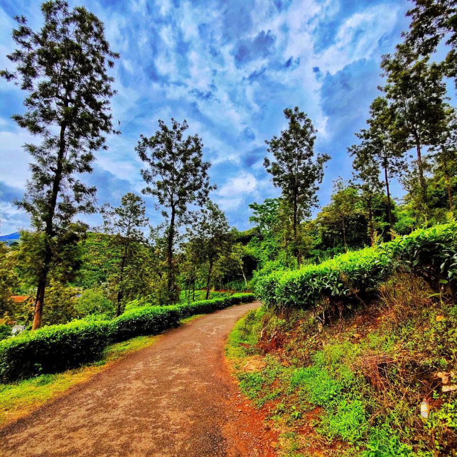 Wooden Cottages Glen WayanadMeppādi エクステリア 写真