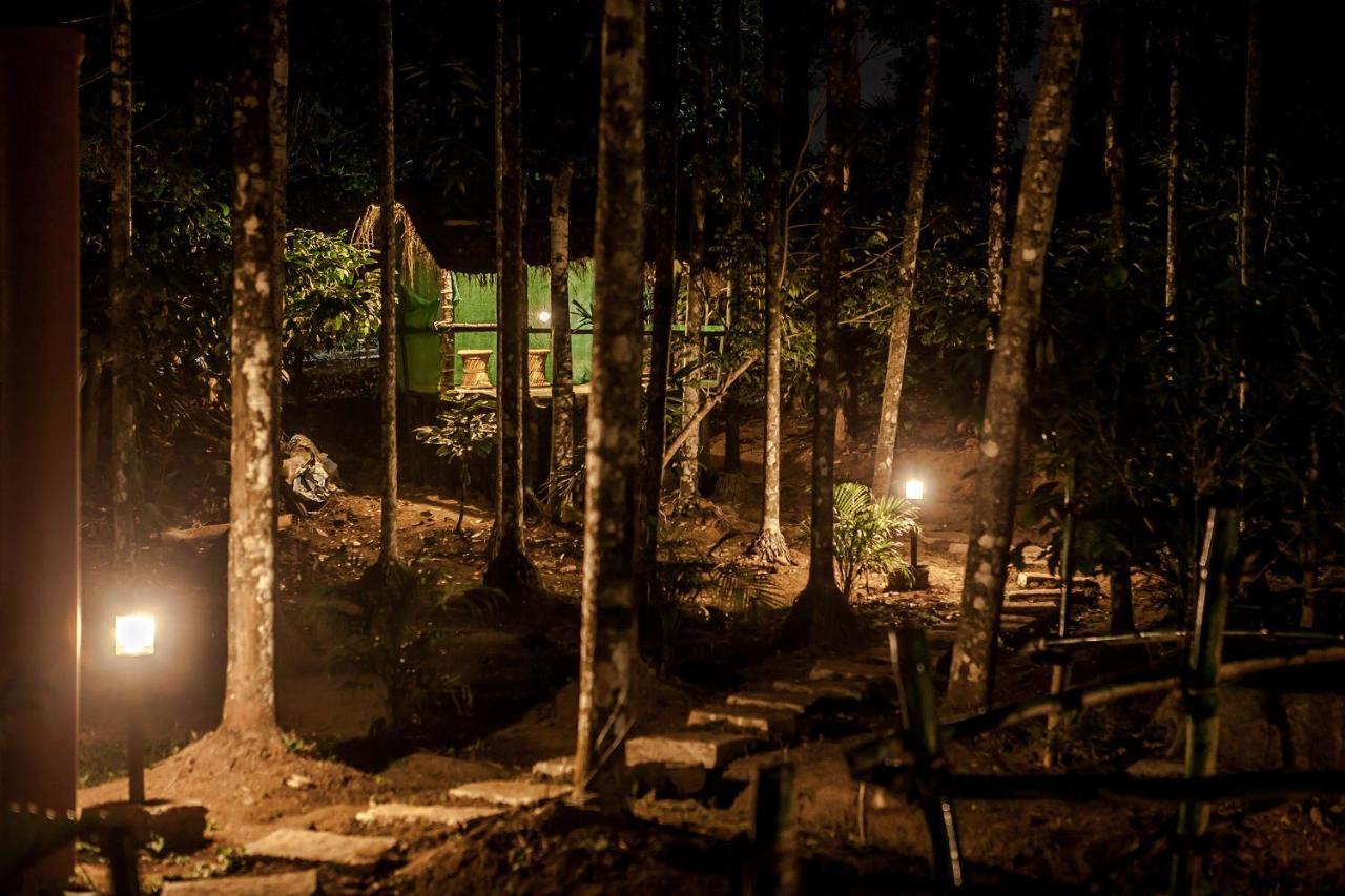 Wooden Cottages Glen WayanadMeppādi エクステリア 写真