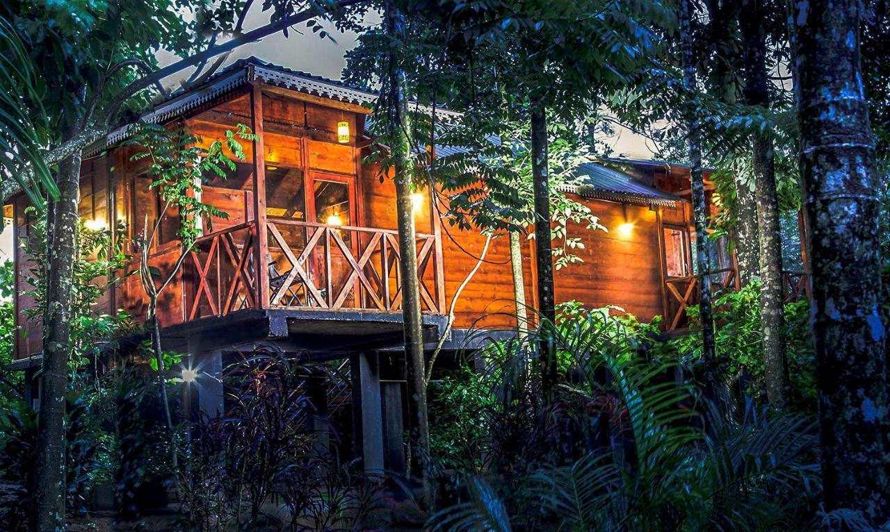 Wooden Cottages Glen WayanadMeppādi エクステリア 写真