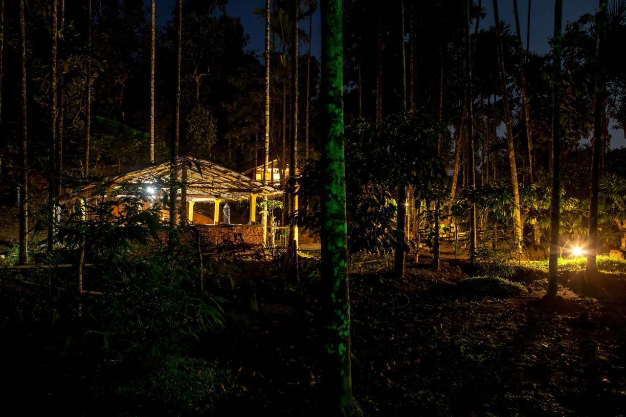 Wooden Cottages Glen WayanadMeppādi エクステリア 写真