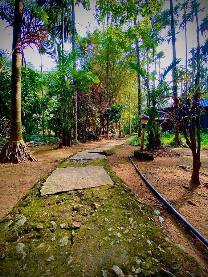 Wooden Cottages Glen WayanadMeppādi エクステリア 写真