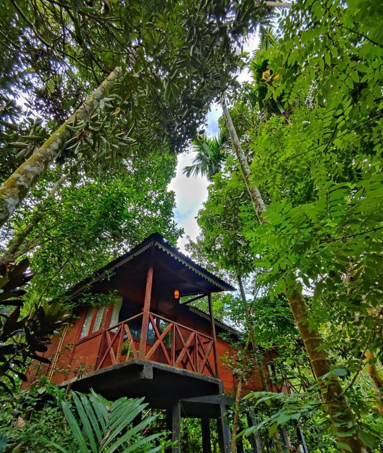Wooden Cottages Glen WayanadMeppādi エクステリア 写真