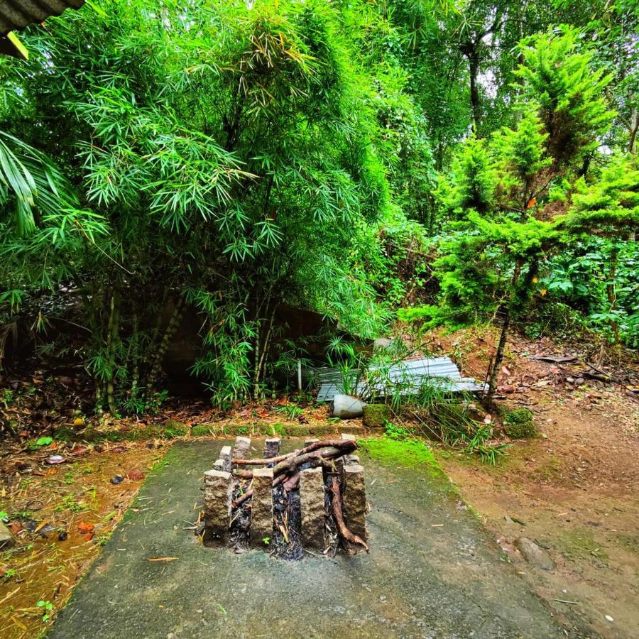 Wooden Cottages Glen WayanadMeppādi エクステリア 写真